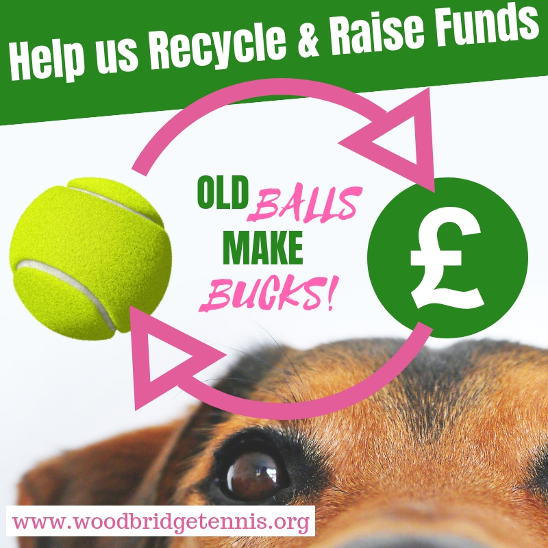 Recycling tennis balls at Woodbridge Tennis Club in Suffolk